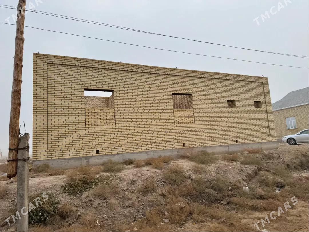 satlyk jay - Мары - img 4