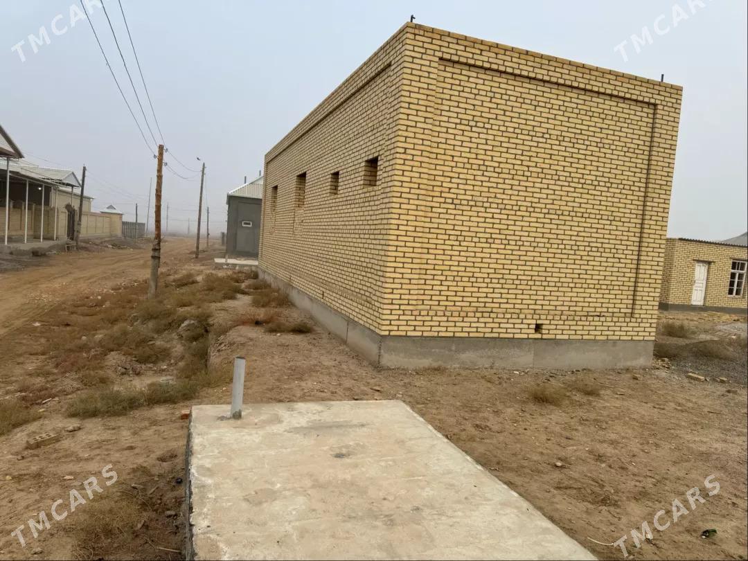 satlyk jay - Мары - img 3