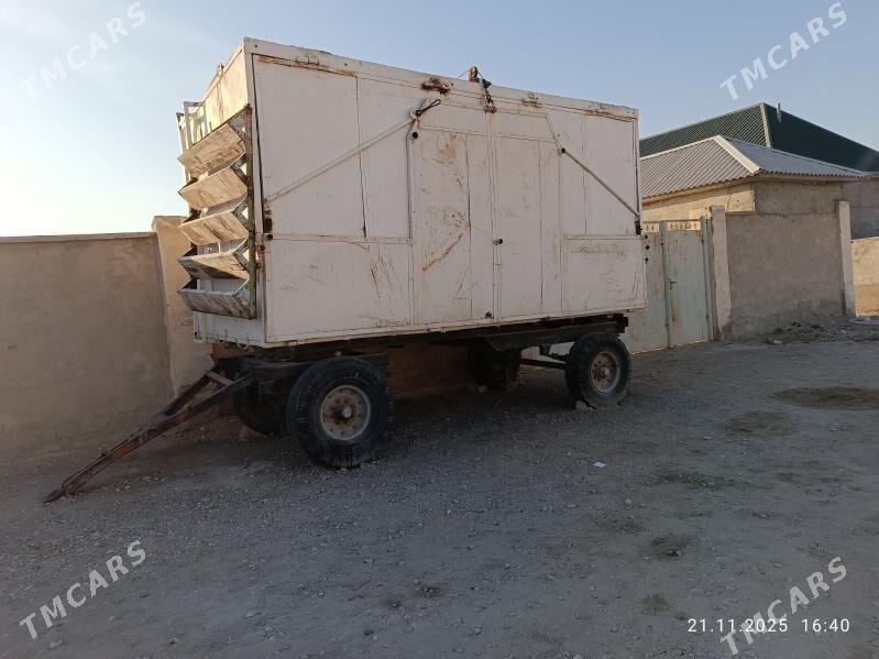 Toy pirsep - Balkanabat - img 5