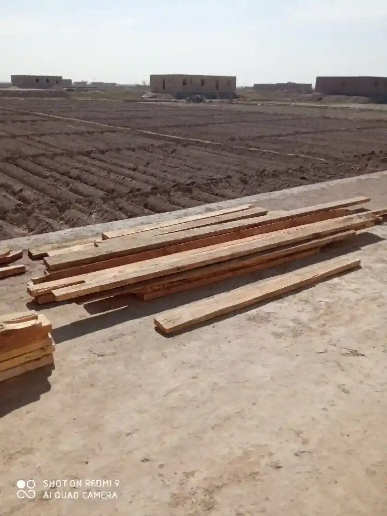 AGAÇ ALŸAS - Aşgabat - img 2