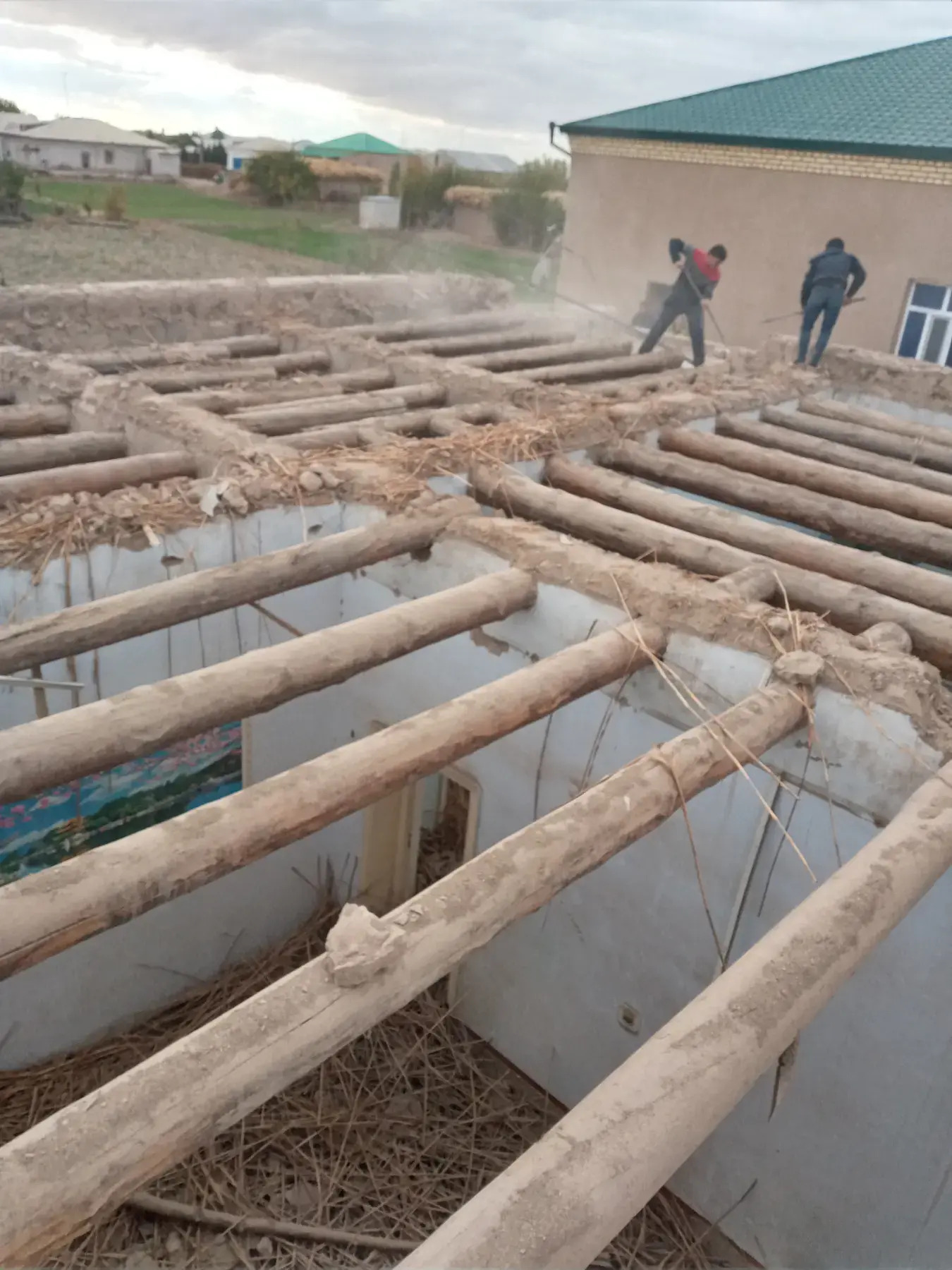 AGAÇ ALŸAS - Aşgabat - img 3