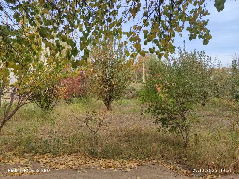 6 sotok Daça , Bag edilen - Дашогуз - img 3