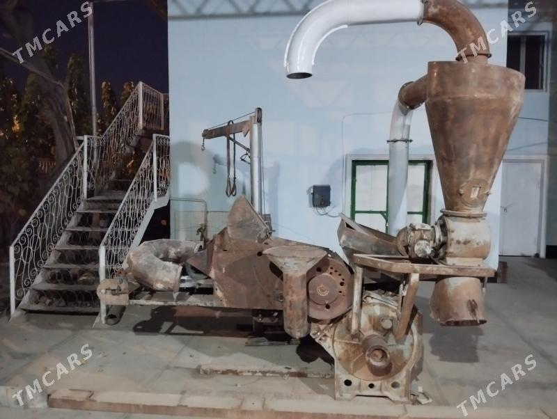 Dyrabilka - Sakarçäge - img 2