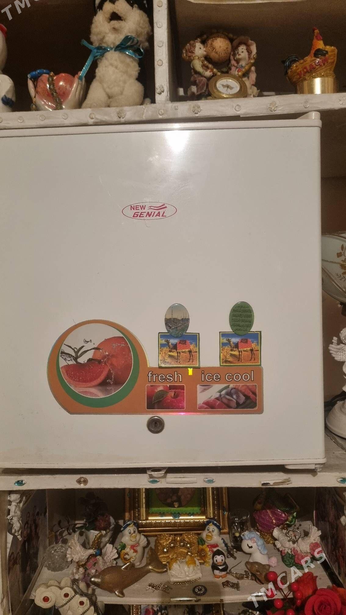 general holodilnik - Чоганлы - img 2