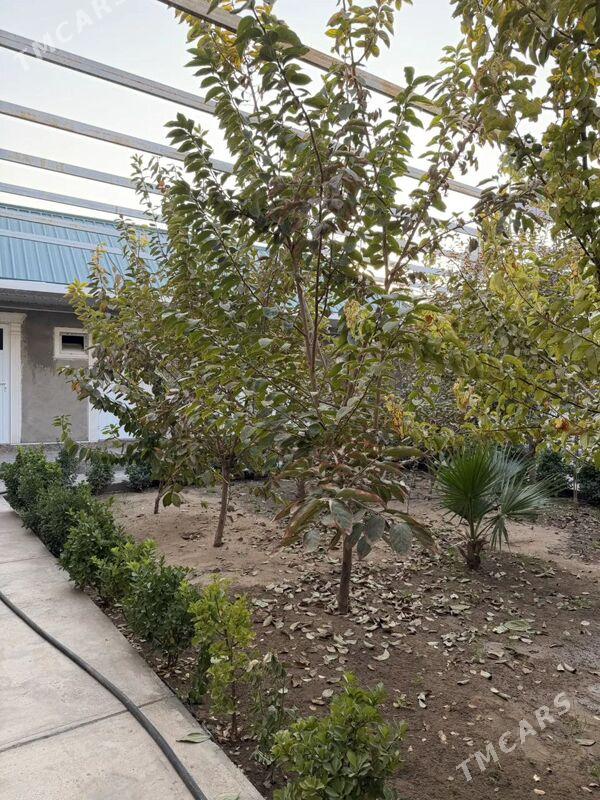 Herrikgala satlyk plan jay - Herrikgala - img 5