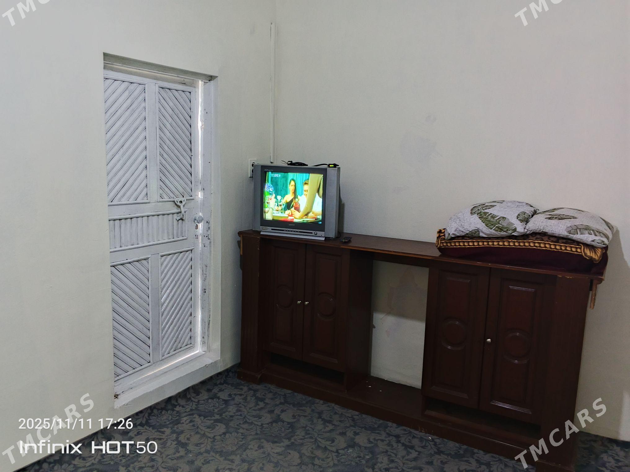 Arenada jaý - Багир - img 2