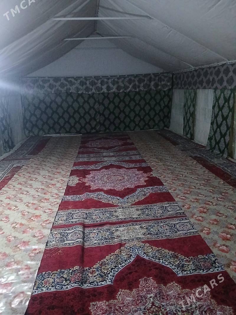 Palatka - Гороглы (Тагта) - img 3