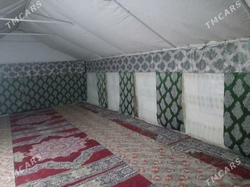 Palatka - Гороглы (Тагта) - img 4