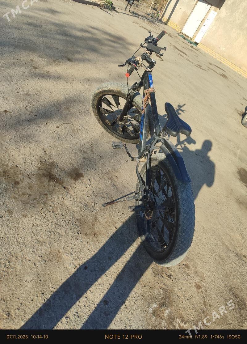 tigir - Gubadag - img 3