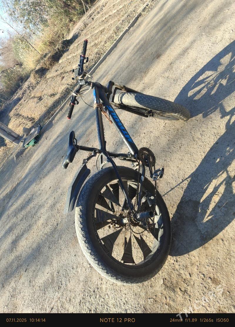 tigir - Gubadag - img 2