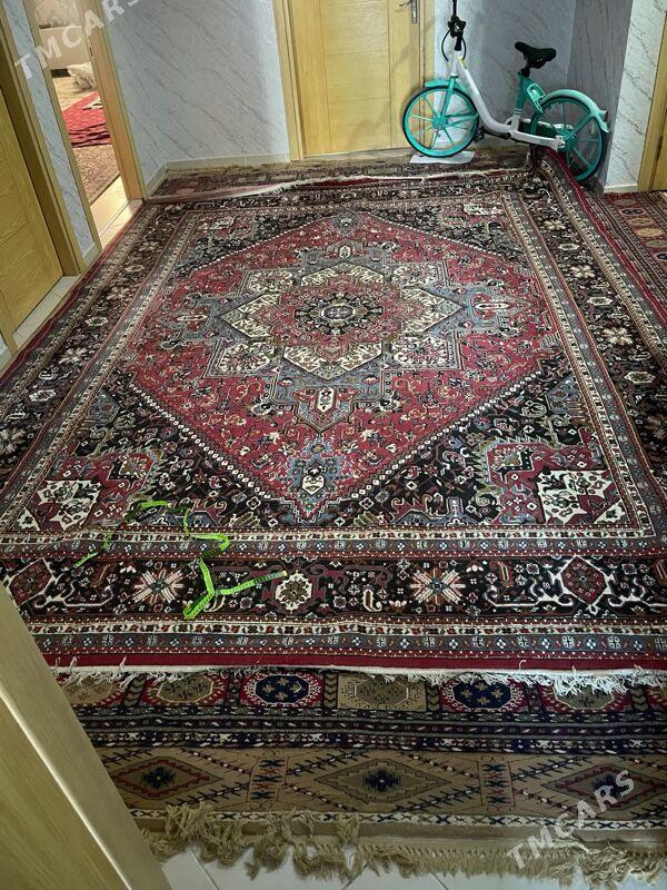 haly daroşgo - Änew - img 3