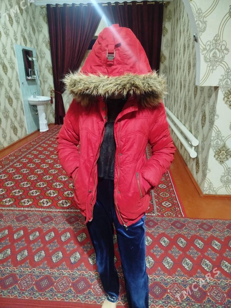 palto - Кёнеургенч - img 4