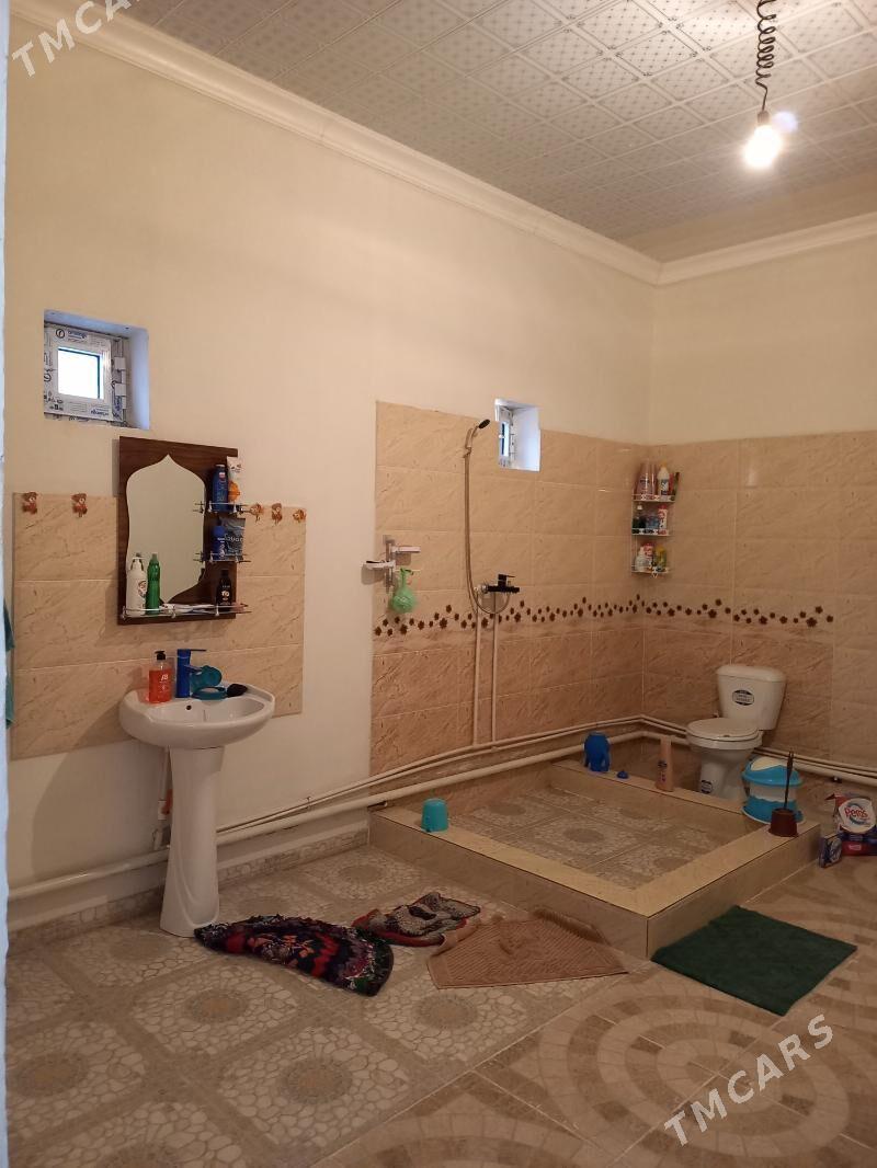 Satlyk jay - Saýat - img 8