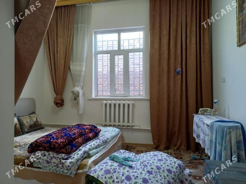 Satlyk jay - Saýat - img 7