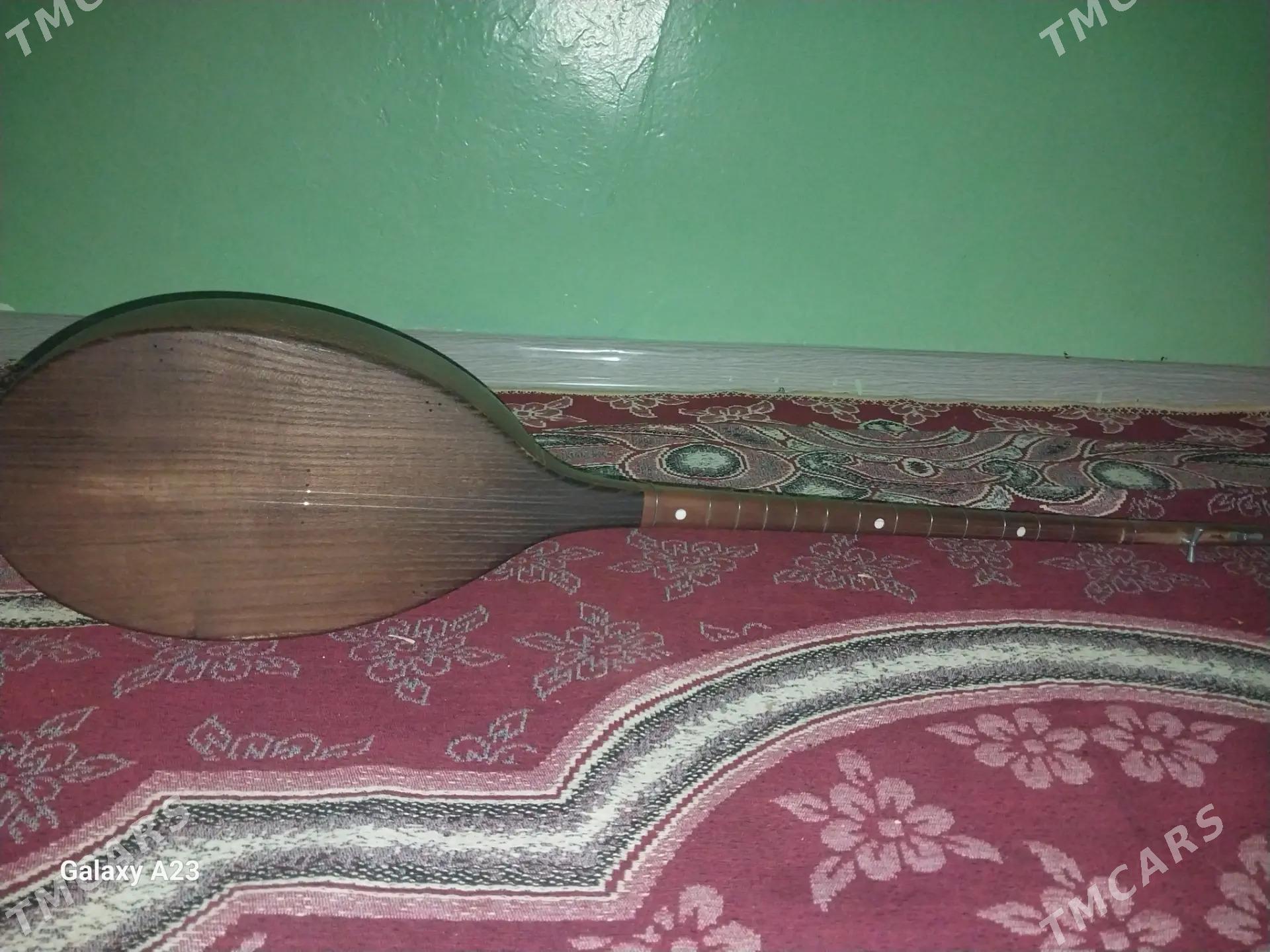 Dutar - Büzmeýin GRES - img 3