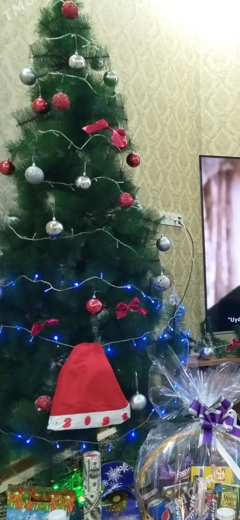 Yolka - Дашогуз - img 2