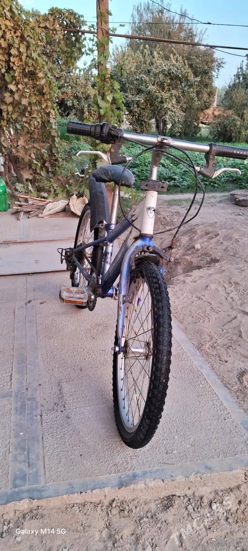 Welosiped 20 lik - Sakarçäge - img 3