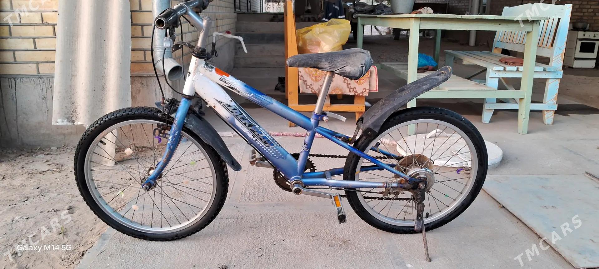 Welosiped 20 lik - Sakarçäge - img 2