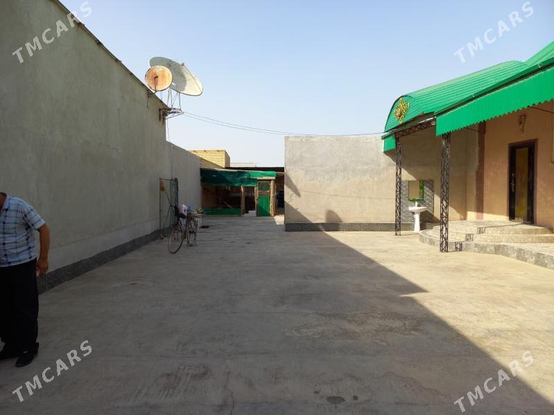 Satlyk jay - Saýat - img 3