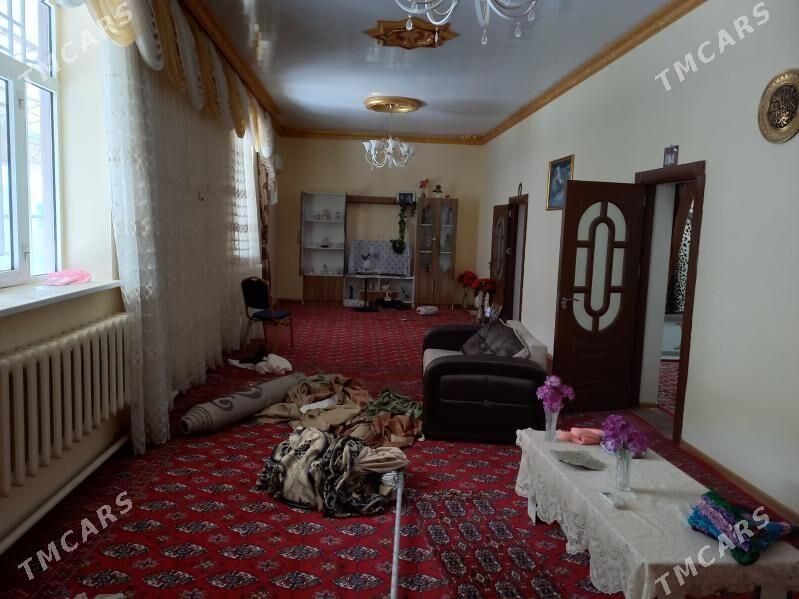 Satlyk jay - Saýat - img 5