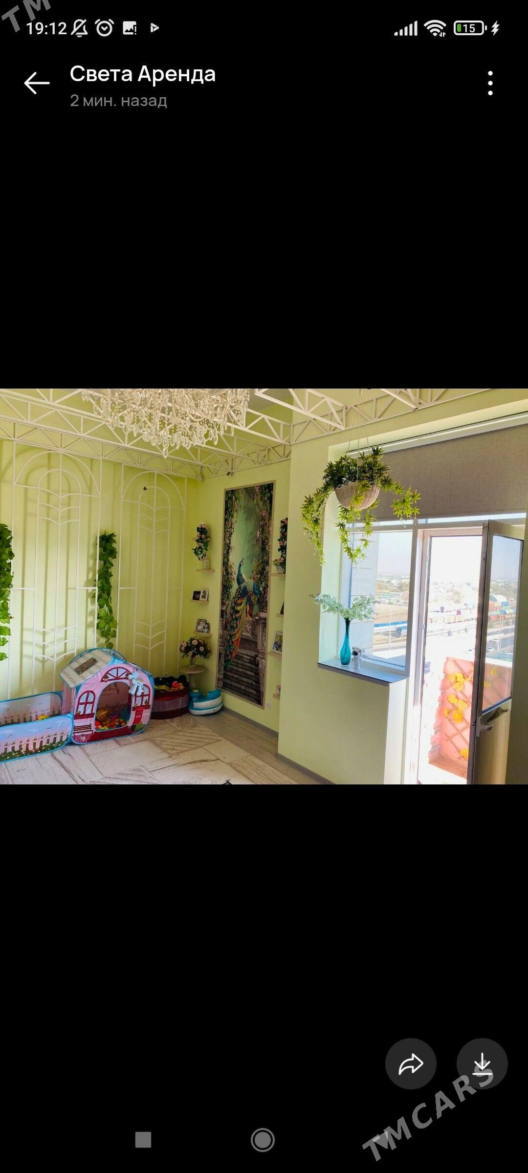 2 kom Gogolÿa elitka - Ашхабад - img 10