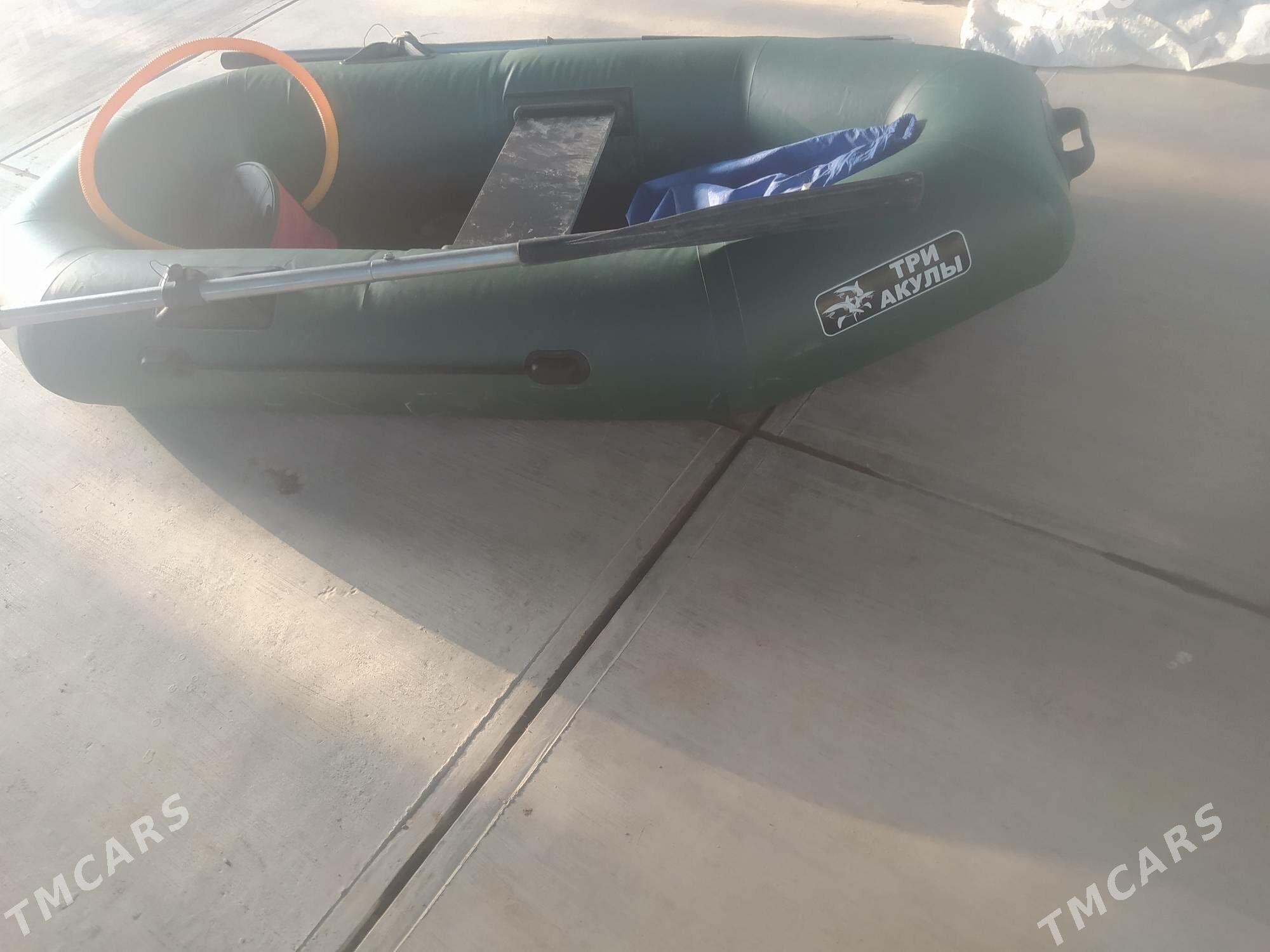 три акулы - Шабатский этрап - img 2