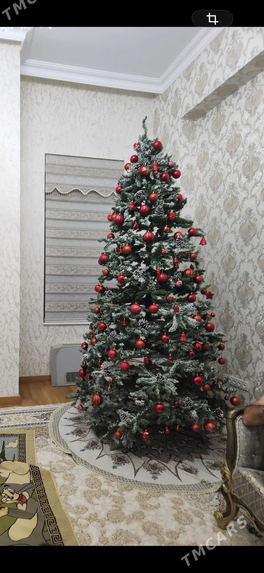 Tazeje yolka jajeksiz - Ашхабад - img 2