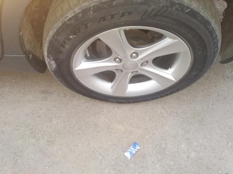 Mary 16 admen 16 okuz kelle 11 111 TMT - Daşoguz - img 2