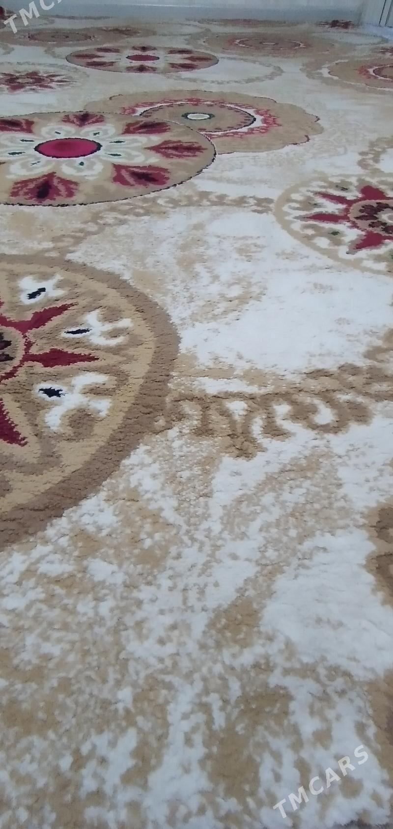 haly - Ашхабад - img 3