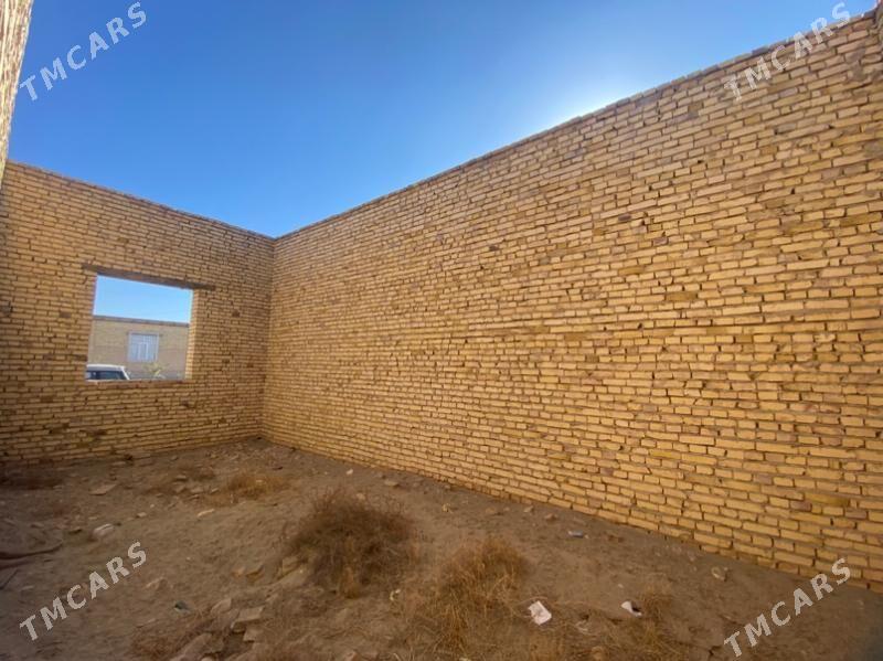 sayat  çol melleklerde - Saýat - img 5