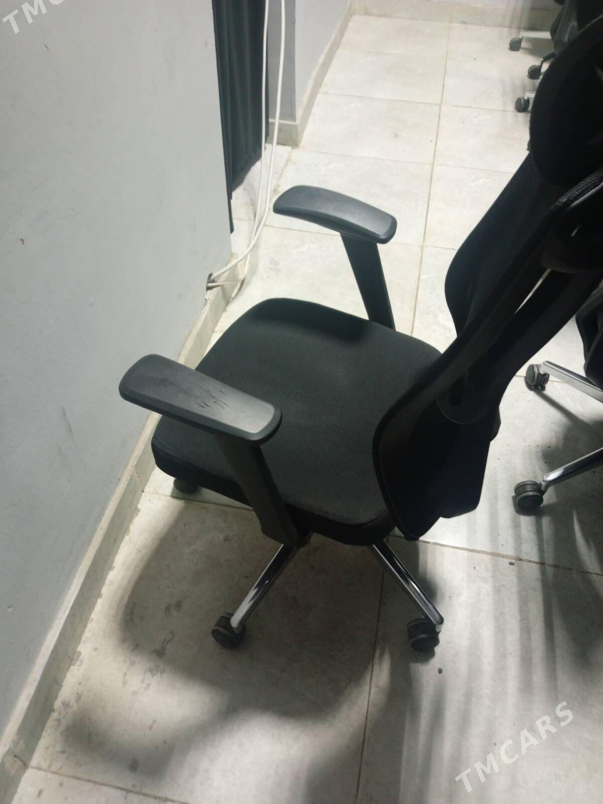 otyrguc - Aşgabat - img 3