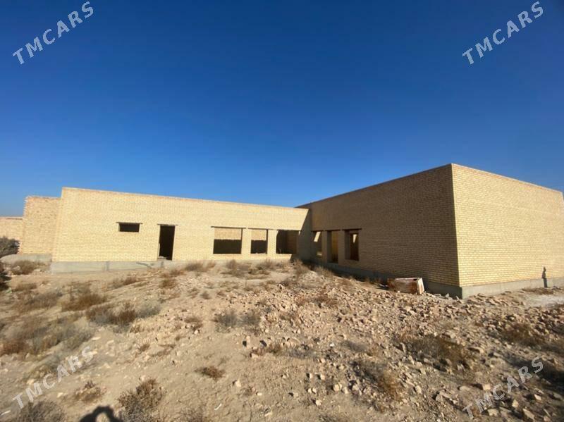 sayat  çol melleklerde - Saýat - img 7