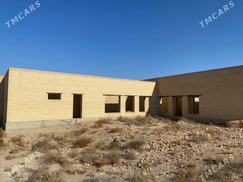 sayat  çol melleklerde - Saýat - img 8