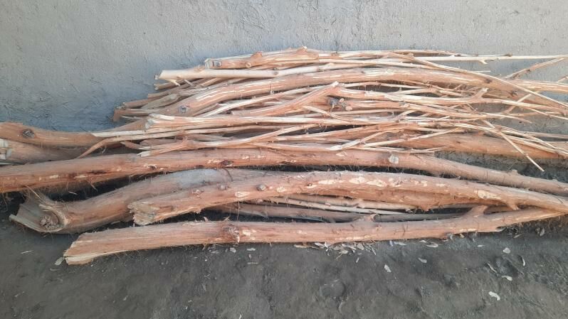 шыпыр sypyr - Boldumsaz - img 7