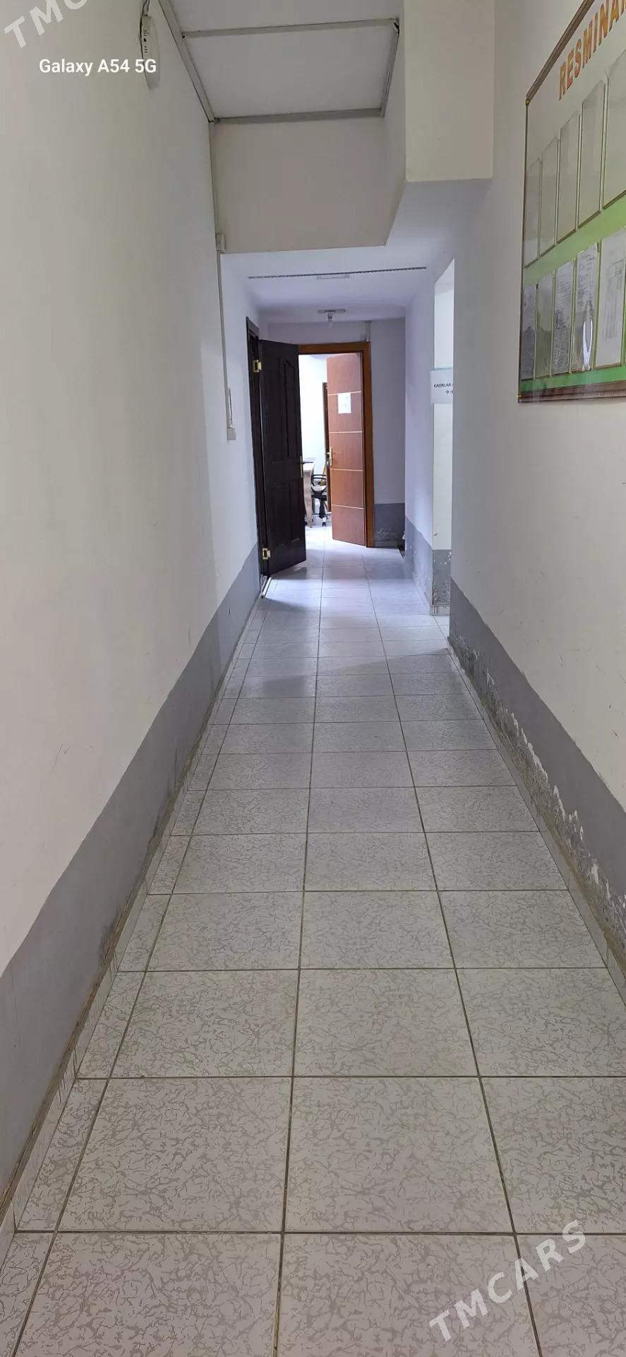 podwal satlyk - Мир 7 - img 7