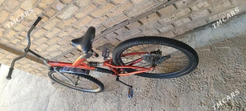 tigir welsopet kama - Mary - img 4