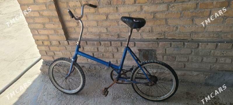 tigir welsopet kama - Mary - img 5