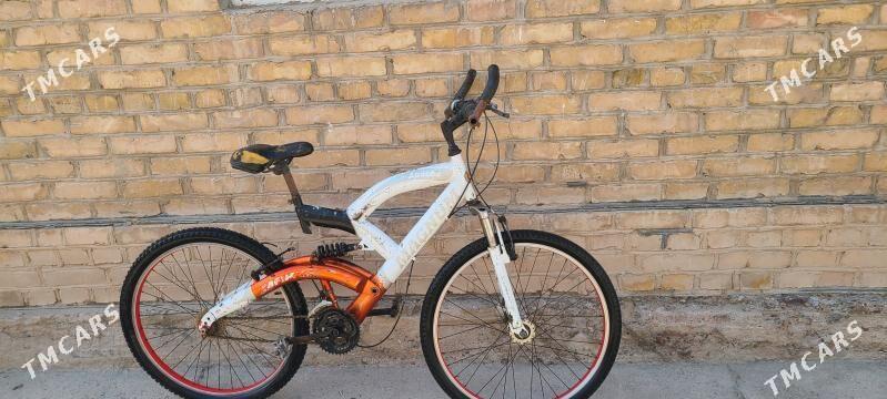 tigir welsopet kama - Mary - img 7