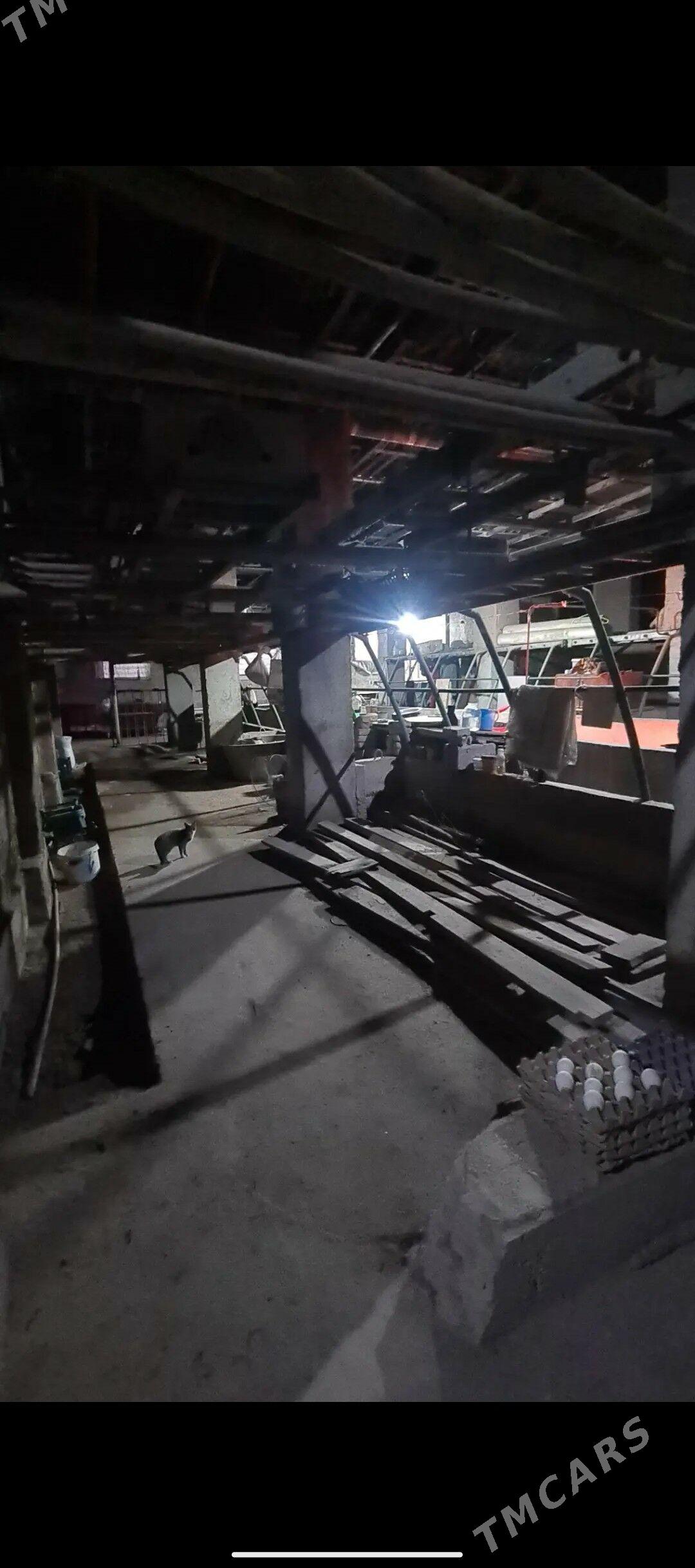 жай сатылар - Daşoguz - img 5