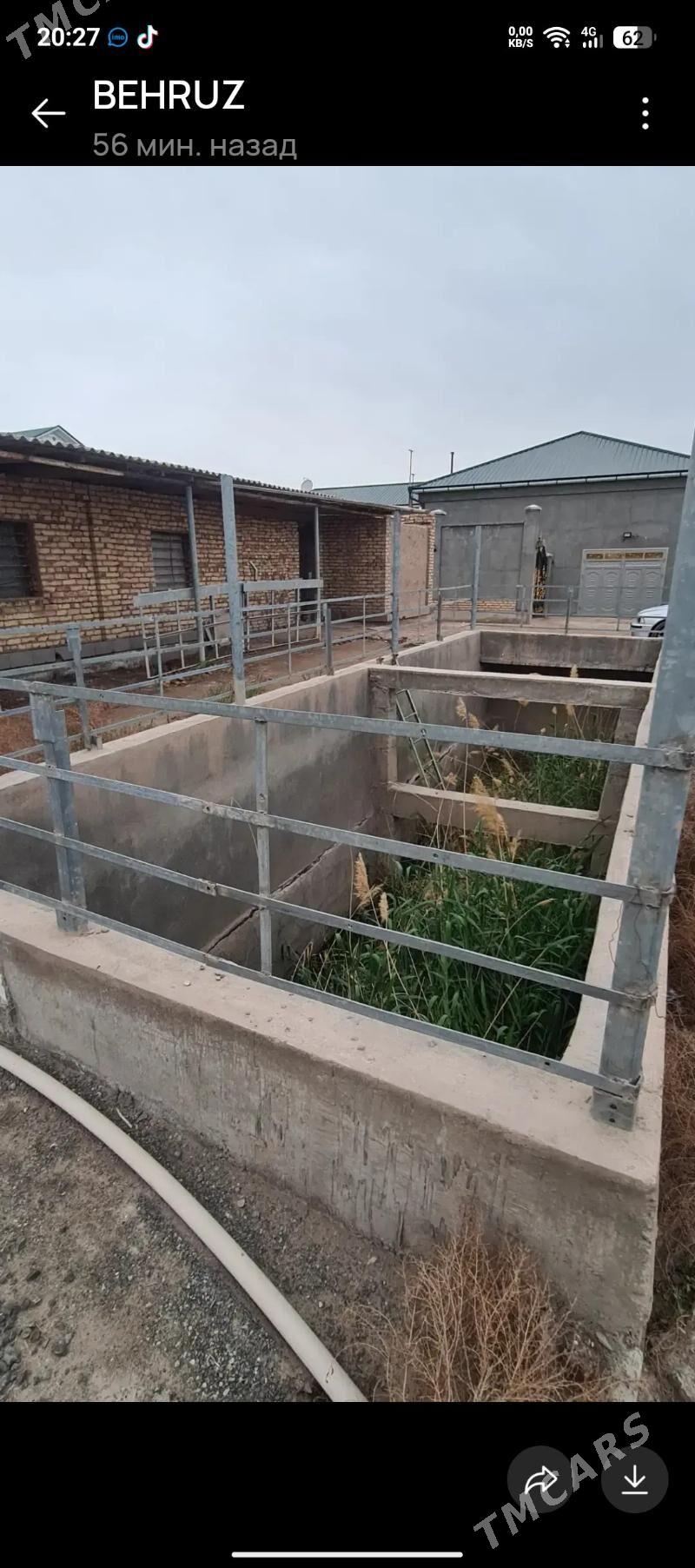 жай сатылар - Daşoguz - img 6