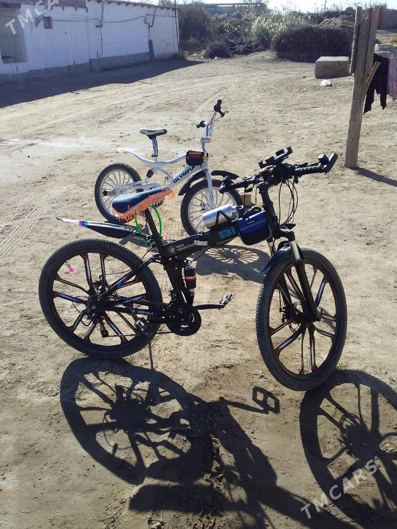 satlyk welik - Dänew - img 2