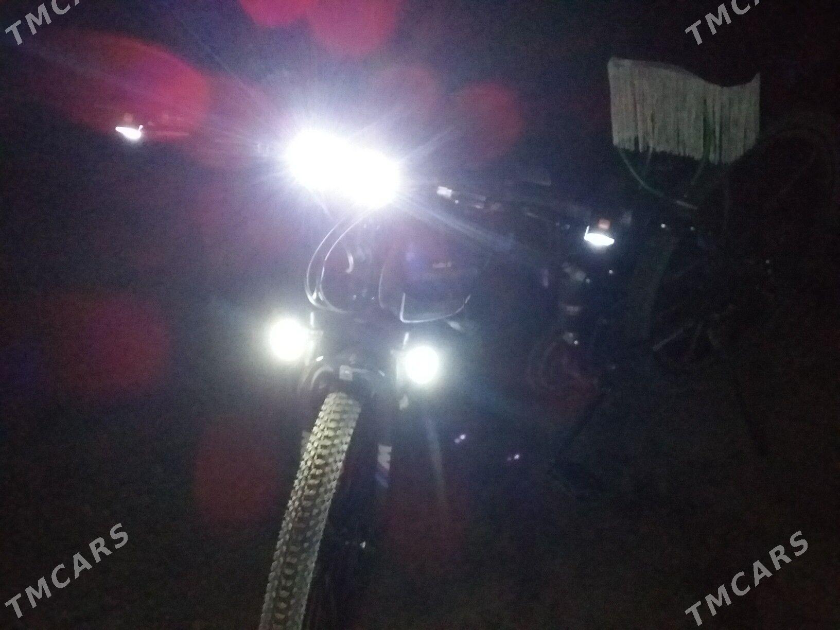 satlyk welik - Dänew - img 3