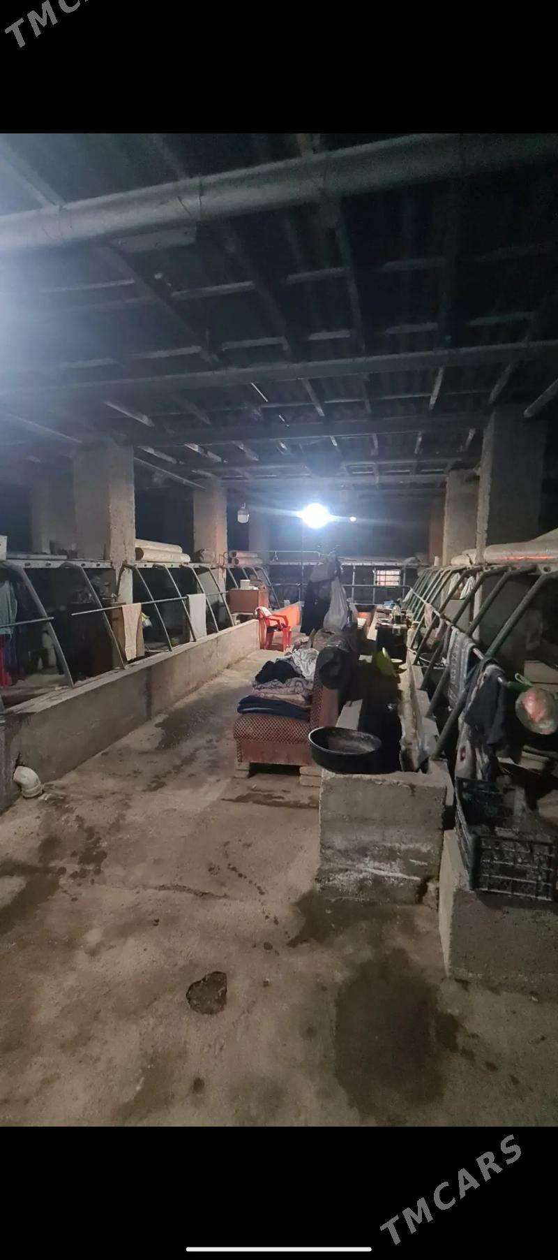 жай сатылар - Daşoguz - img 4