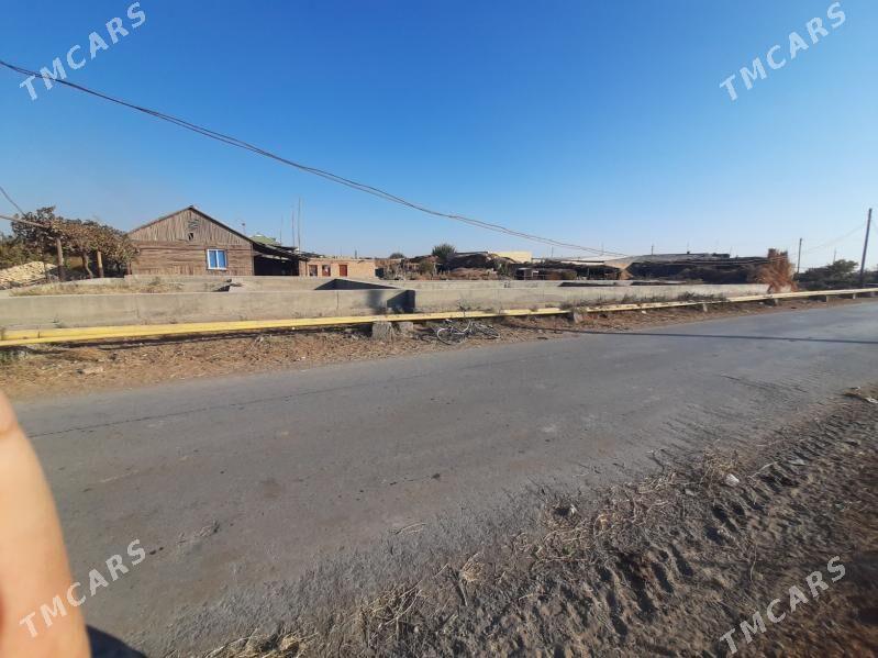 SATLYK JAYY - Туркменабат - img 3