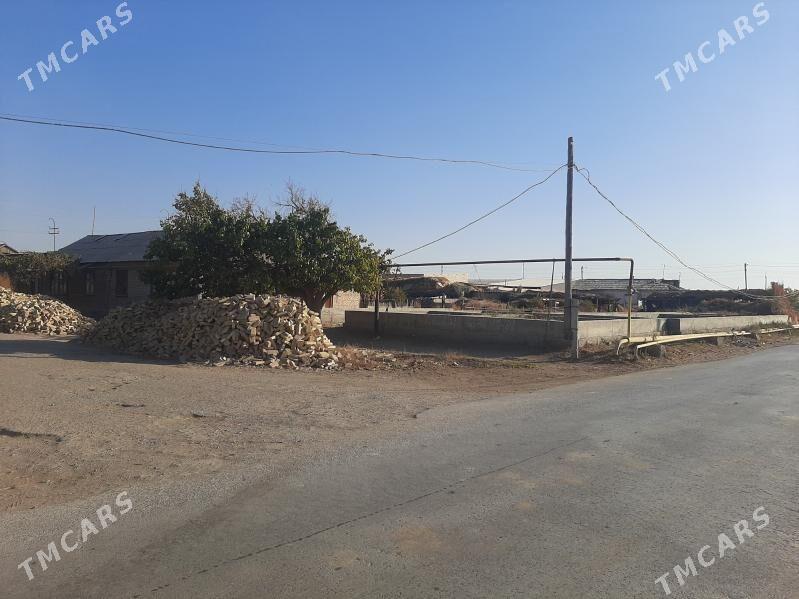 SATLYK JAYY - Туркменабат - img 2