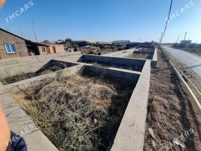 SATLYK JAYY - Туркменабат - img 6