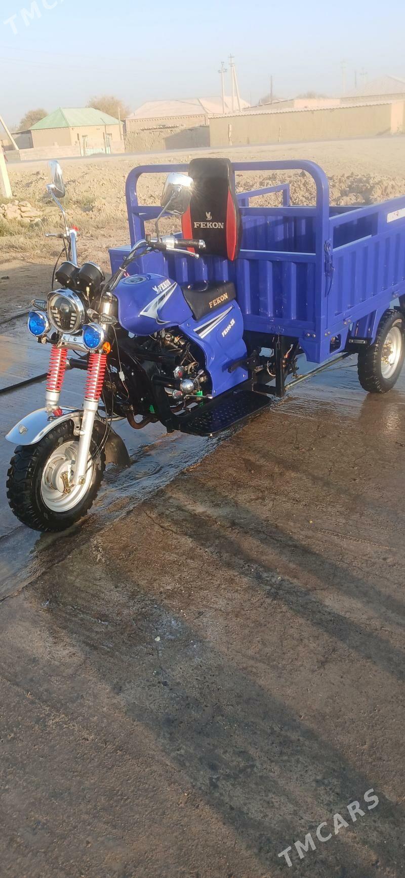 Fekon FK200-14G 2024 - 25 000 TMT - Bäherden - img 1