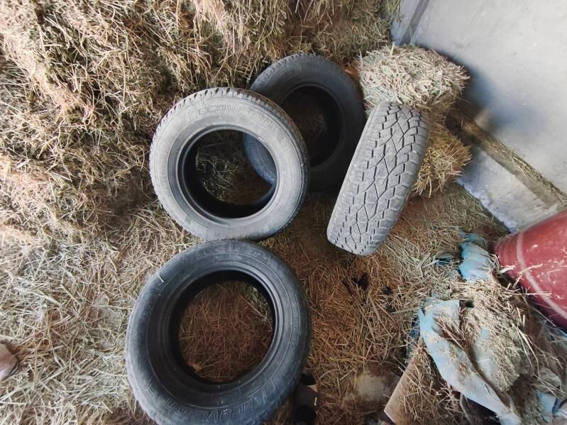 Xilux ayak 17di lik 1 200 TMT - Эсенгулы - img 4