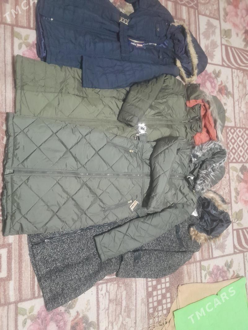 Taze kurtkalar - Daşoguz - img 2