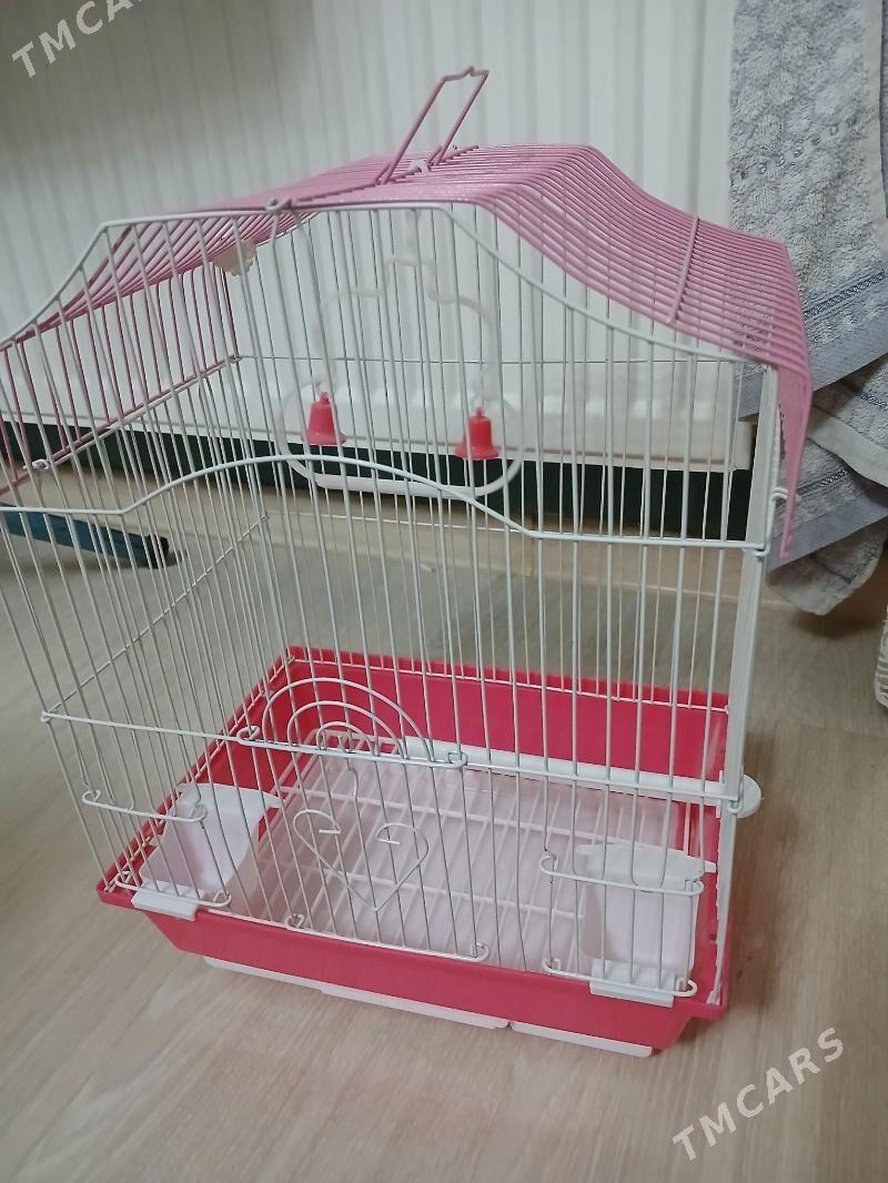 guş kletga - Мир 8 - img 2